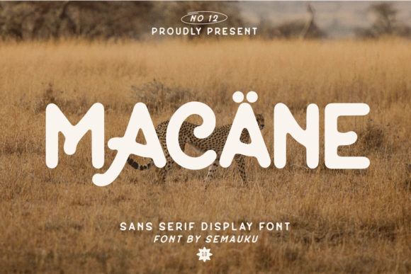 Bringing Macane to Life in Handmade Creations